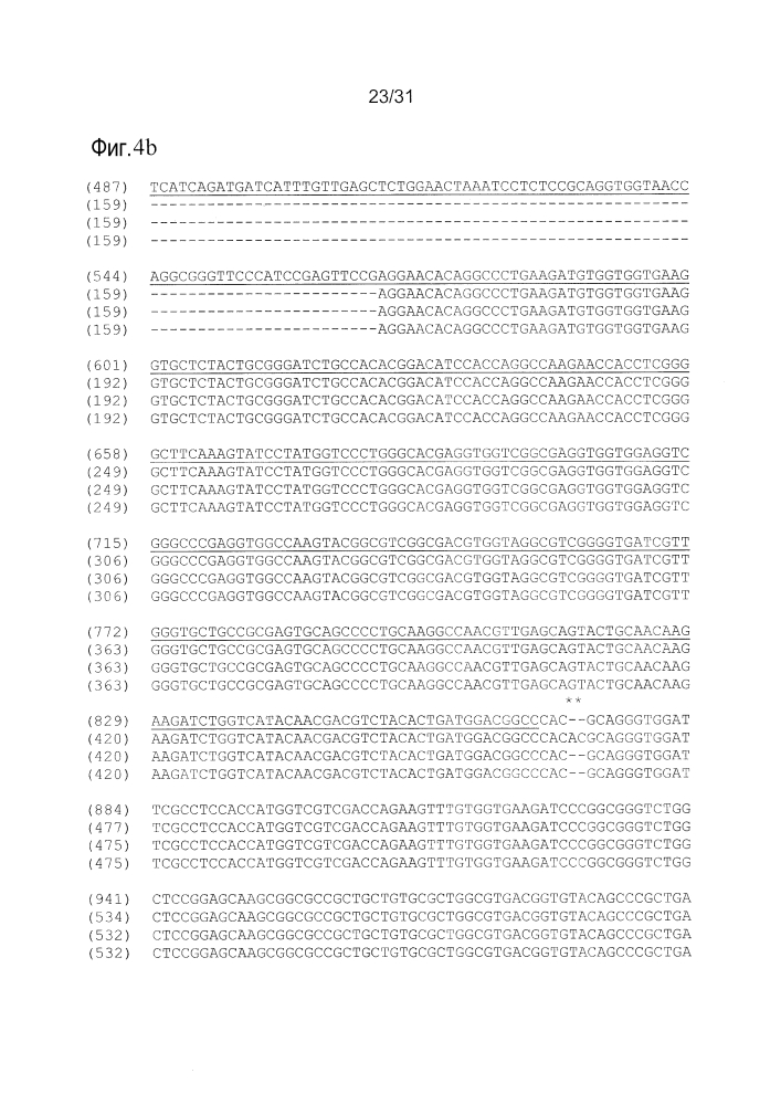 Ген и вариации, связанные с фенотипом bm1, молекулярные маркеры и их применение (патент 2617958)