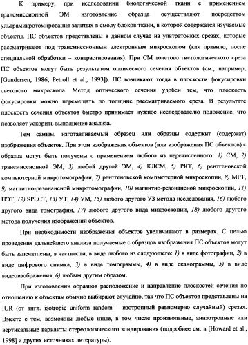 Стереологический способ определения пространственной корреляции вытянутых объектов (патент 2326441)