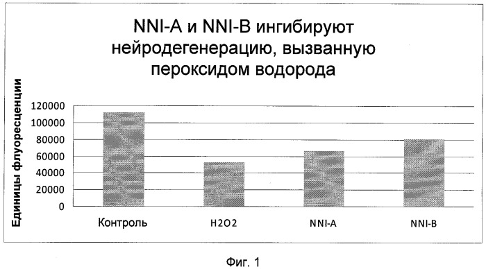 Способы и композиции для стимулирования нейрогенеза и ингибирования дегенерации нейронов с использованием изотиазолопиримидинонов (патент 2521333)