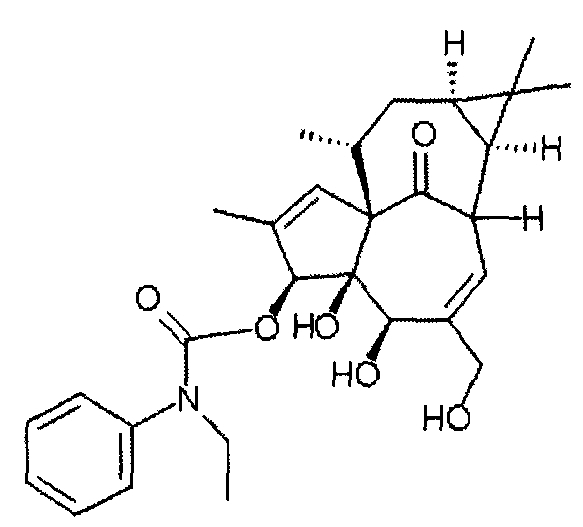 Ингенол-3-ацилаты iii и ингенол-3-карбаматы (патент 2572549)
