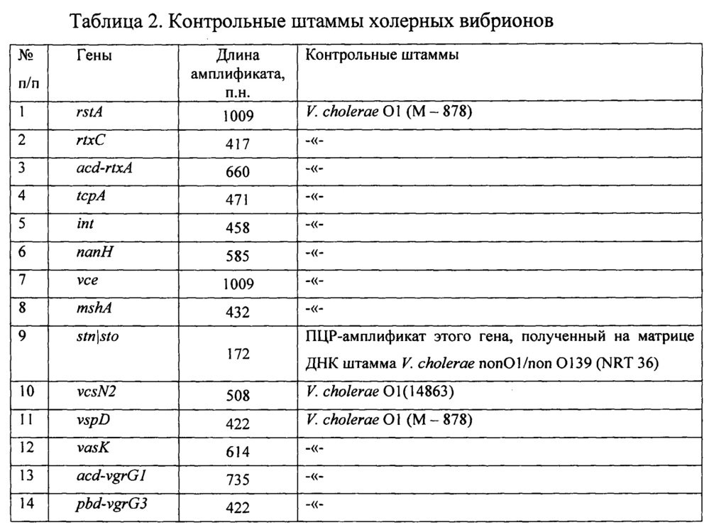 Способ идентификации нетоксигенных штаммов холерных вибрионов о1 серогруппы с помощью пцр для выделения генетических детерминант (патент 2665542)