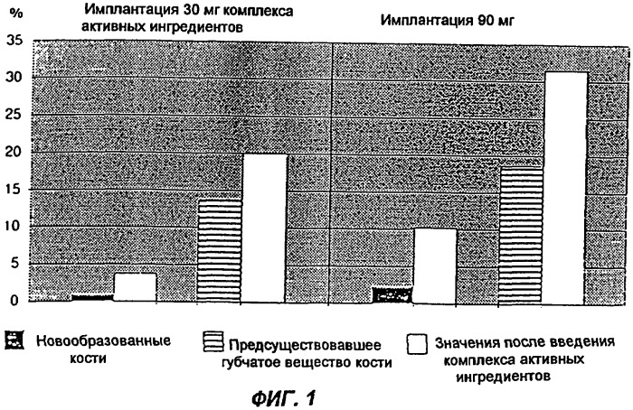 Эндопротез с долговременной стабильностью (патент 2260446)