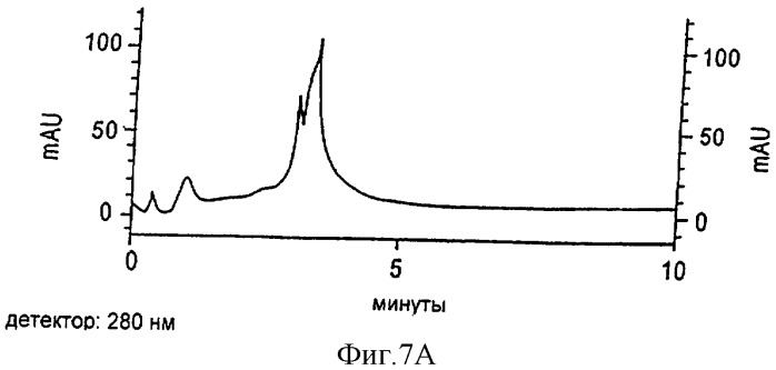 Способ и устройство для получения фикоэритрина с высокой оптической плотностью (патент 2315094)