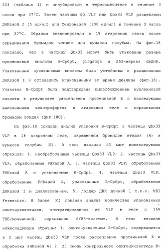 Композиции, содержащие cpg-олигонуклеотиды и вирусоподобные частицы, для применения в качестве адъювантов (патент 2322257)