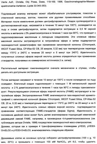 Способ получения полиненасыщенных кислот жирного ряда в трансгенных организмах (патент 2447147)