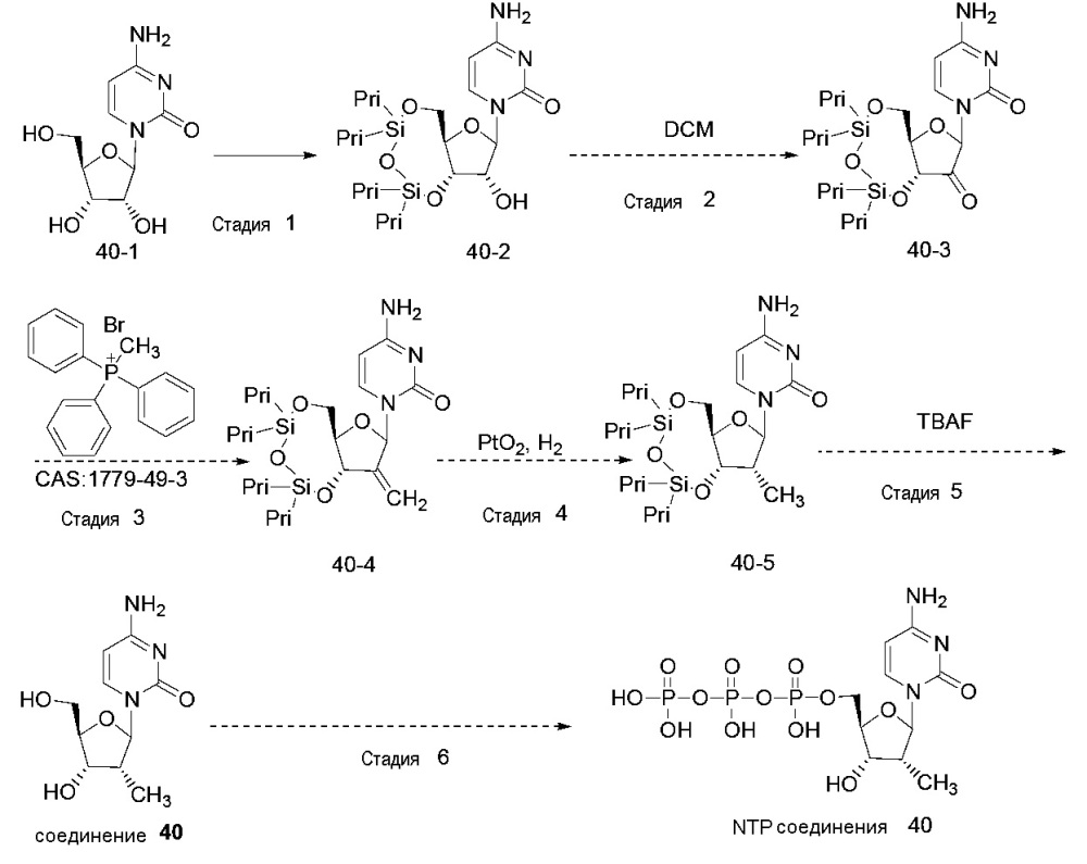 Модифицированные нуклеозиды, нуклеотиды и нуклеиновые кислоты и их применение (патент 2648950)