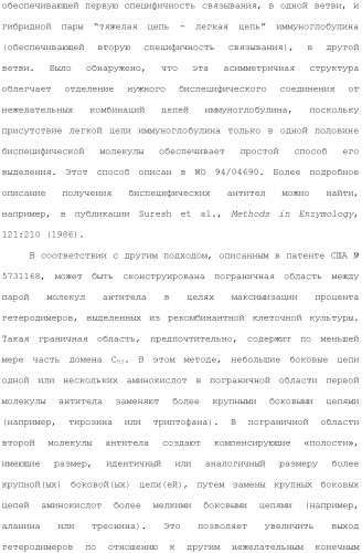 Антитела против вируса гепатита с (патент 2462475)