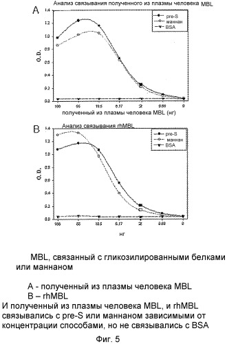 Способ массового производства мультимерного маннозосвязывающего лектина (патент 2350654)