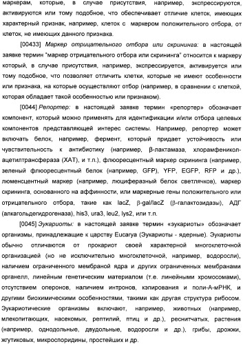 Генетически кодируемые флюоресцентные кумариновые аминокислоты (патент 2473690)