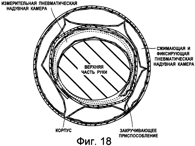 Устройство измерения кровяного давления, обеспечивающее возможность точного измерения кровяного давления (патент 2389430)