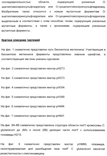 Применение диметилдисульфида для продукции метионина микроорганизмами (патент 2413001)