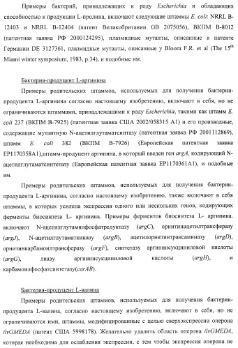 Способ получения l-треонина или l-аргинина с использованием бактерии, принадлежащей к роду escherichia, в которой инактивирован ген chac или оперон chabc (патент 2392327)