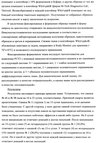 Поливалентные иммуногенные композиции pcv2 и способы получения таких композиций (патент 2488407)