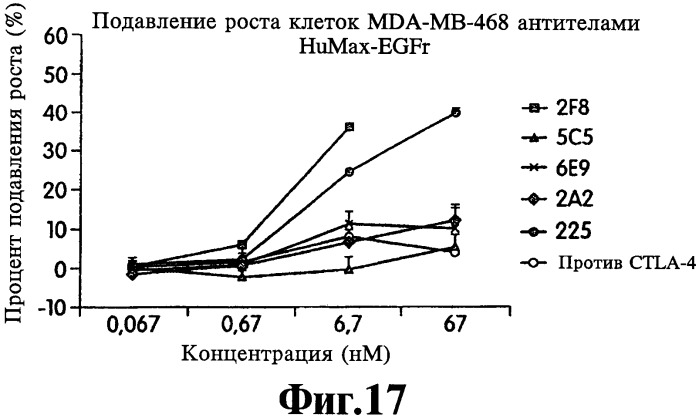 Человеческие моноклональные антитела к рецептору эпидермального фактора роста (egfr), способ их получения и их использование, гибридома, трансфектома, трансгенное животное, экспрессионный вектор (патент 2335507)