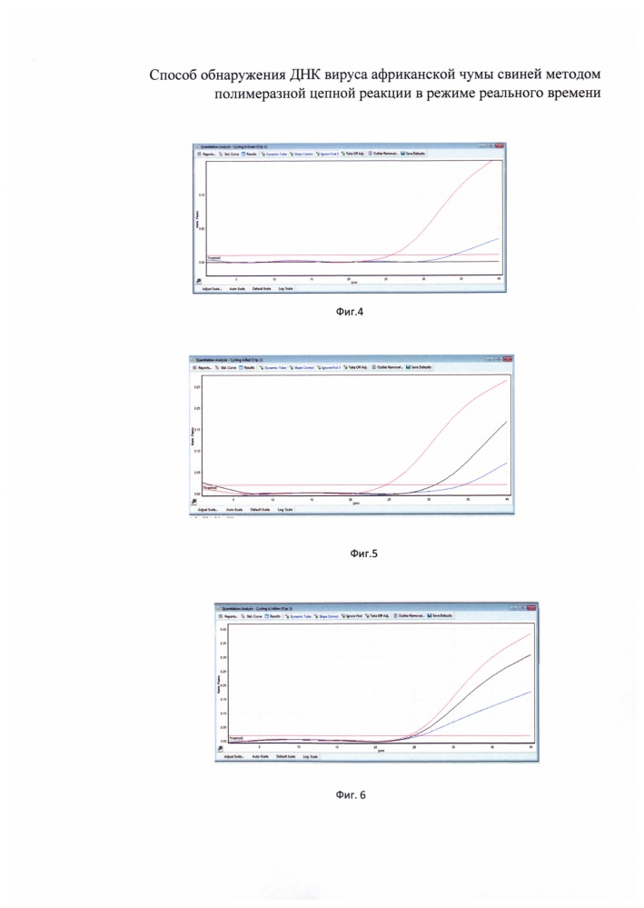 Способ обнаружения днк вируса африканской чумы свиней методом полимеразной цепной реакции в режиме реального времени (патент 2645262)