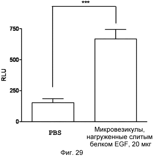 Микровезикулы, происходящие из протопластов клеток, и их применение (патент 2570636)