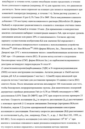 Композиции и способы диагностики и лечения опухоли (патент 2430112)