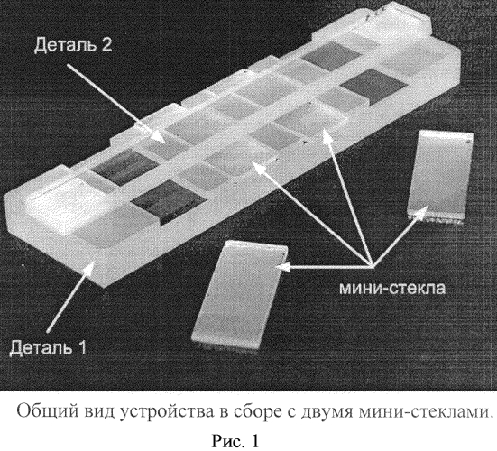 Набор и способ для приготовления многослойных агарозных блоков на поверхности мини-стекол для микроскопии (патент 2558229)