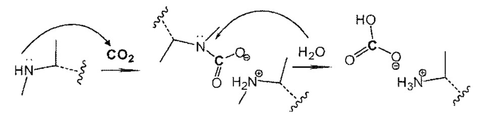 Аминовое промотирование для улавливания co2 (патент 2637336)