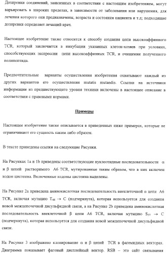 Экспонирование т-клеточных рецепторов (патент 2346004)