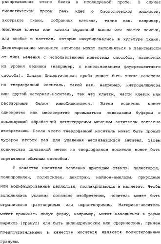 Ее3-семейство белков и соответствующие днк-последовательности (патент 2333918)