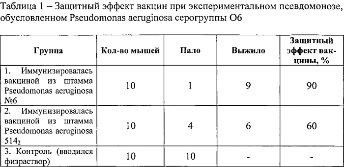 Штамм бактерий pseudomonas aeruginosa для изготовления вакцины против псевдомоноза свиней (патент 2553558)