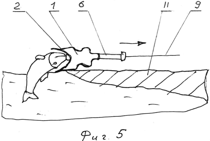Устройство для извлечения рыбы из полыньи девяткина в.д. (патент 2561738)