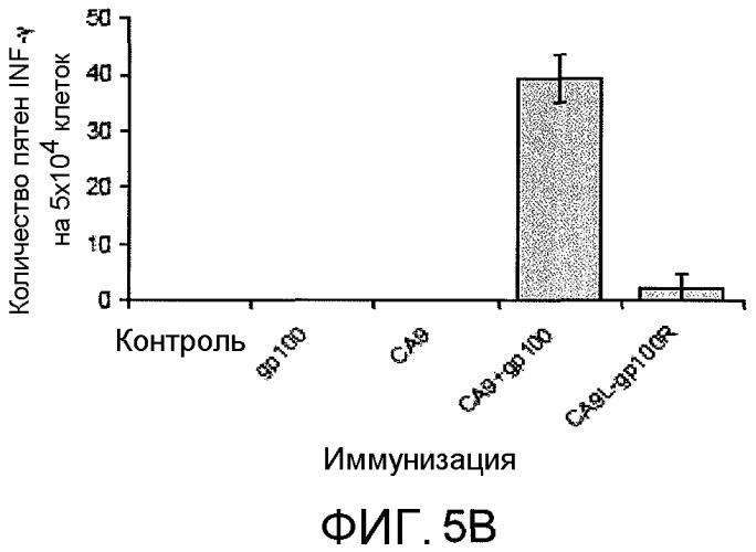 Композиции и способы применения белка са9 для стимуляции иммунного ответа (патент 2497543)
