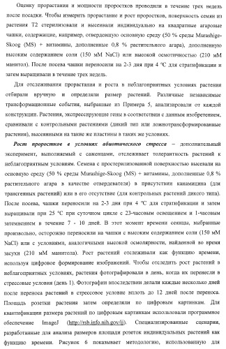 Изолированные полипептиды, кодирующие их полинуклеотиды, экспрессирующие их трансгенные растения и способы их использования (патент 2425151)