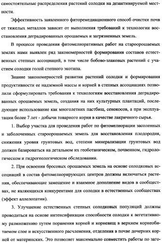 Фиторемедиационный способ очистки почв от тяжелых металлов (патент 2359444)