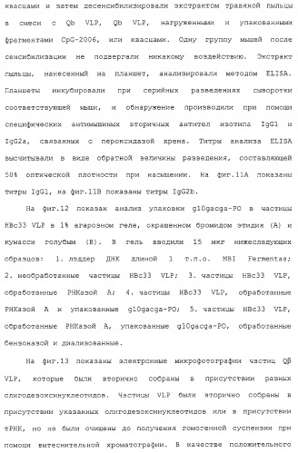 Композиции, содержащие cpg-олигонуклеотиды и вирусоподобные частицы, для применения в качестве адъювантов (патент 2322257)