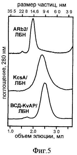 Способ ренатурации мембранных белков (патент 2500684)
