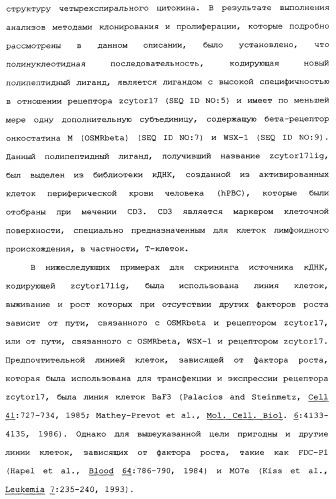 Новый лиганд рецептора цитокина zcytor17 (патент 2360923)