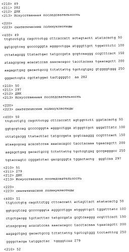 Гетеродимерные полипептиды il-17 a/f и возможности их лечебного применения (патент 2440134)