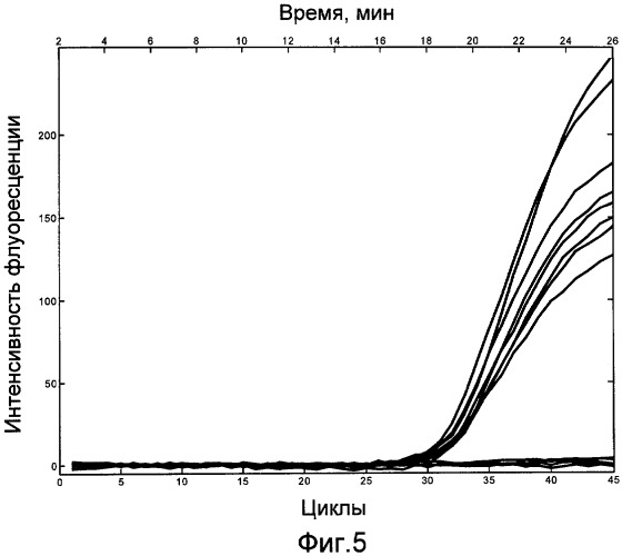 Способ определения нуклеиновых кислот методом полимеразно-цепной реакции в режиме реального времени и устройство для его осуществления (патент 2385940)