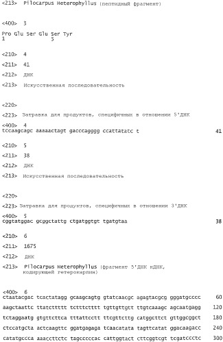 Способ получения рекомбинантного гетерокарпина (патент 2359033)