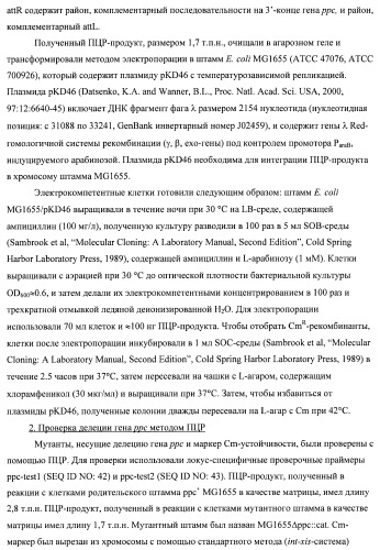 Бактерия семейства enterobacteriaceae - продуцент l-аспарагиновой кислоты или метаболитов, производных l-аспарагиновой кислоты, и способ получения l-аспарагиновой кислоты или метаблитов, производных l-аспарагиновой кислоты (патент 2472853)