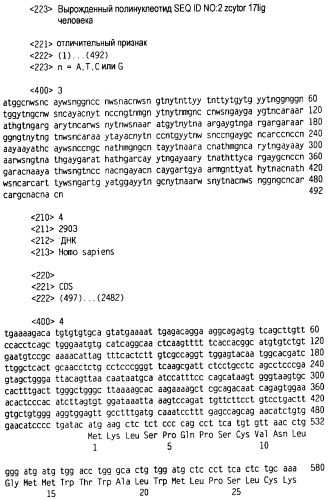 Новый лиганд рецептора цитокина zcytor17 (патент 2490276)