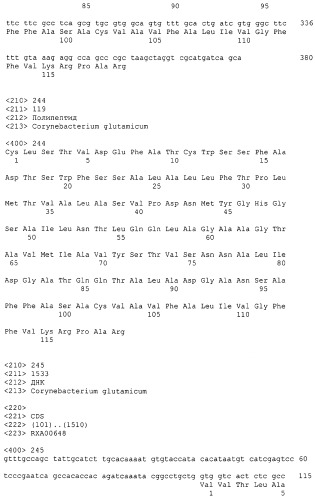 Гены corynebacterium glutamicum, кодирующие белки резистентности и толерантности к стрессам (патент 2303635)