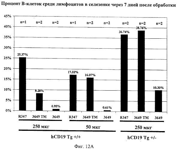 Гуманизированные антитела к cd19 и их применение для лечения онкологического, связанного с трансплантацией и аутоиммунного заболевания (патент 2495882)