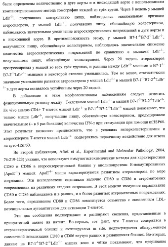 Способ лечения сердечно-сосудистого заболевания с применением растворимого ctla4 (патент 2353384)
