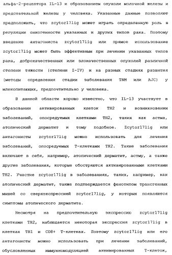 Новый лиганд рецептора цитокина zcytor17 (патент 2360923)