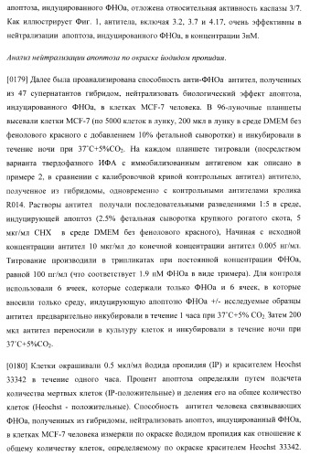 Антитела, специфичные к фактору некроза опухолей, и их применение (патент 2377253)