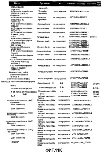 Гликопэгилированный гранулоцитарный колониестимулирующий фактор (патент 2400490)