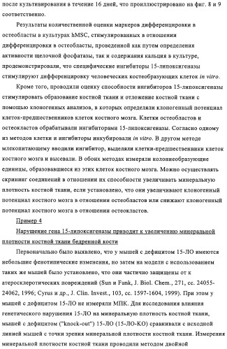 Способ лечения и предупреждения потери костной ткани (патент 2319483)