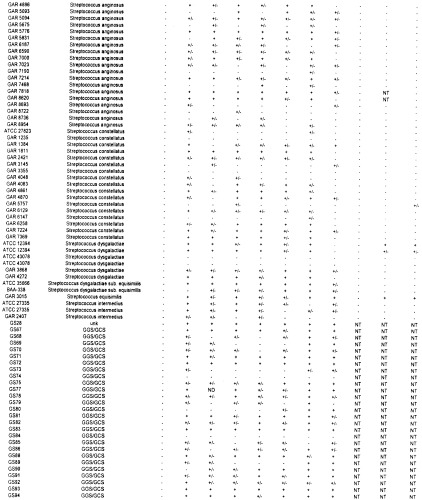 Многокомпонентная иммуногенная композиция для предупреждения заболевания, вызванного  -гемолитическими стрептококками (бгс) (патент 2478396)