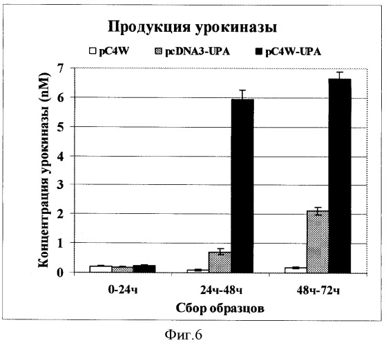 Экспрессионный вектор для синтеза белков в клетках млекопитающих (патент 2364627)