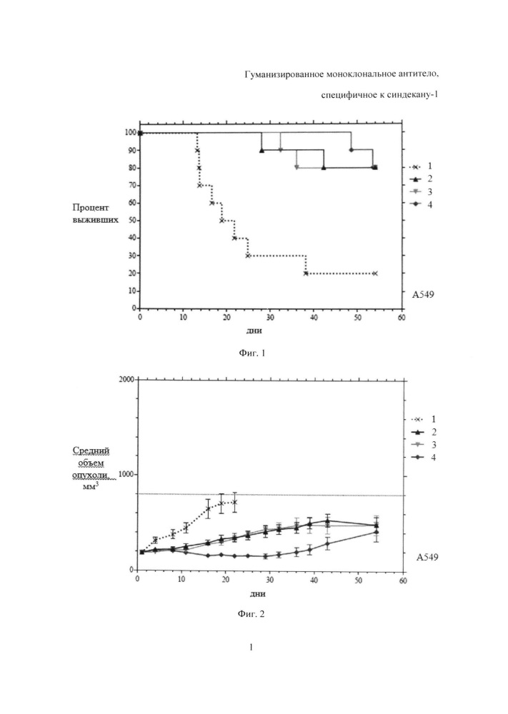 Гуманизированное моноклональное антитело, специфичное к синдекану-1 (патент 2611685)