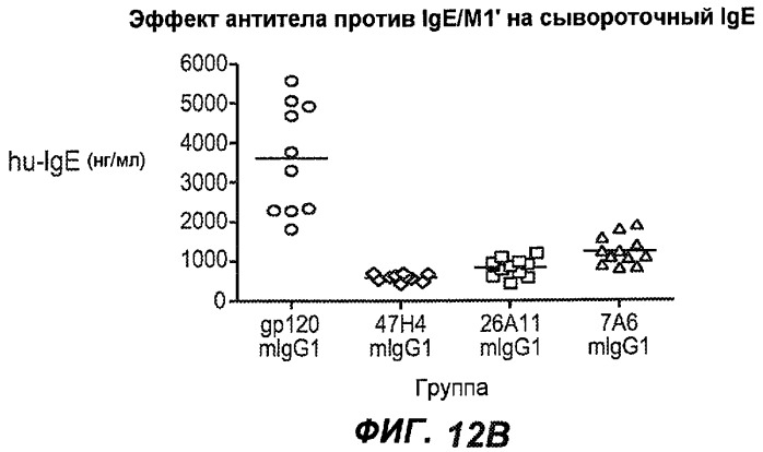 Апоптотические антитела против ige (патент 2500686)