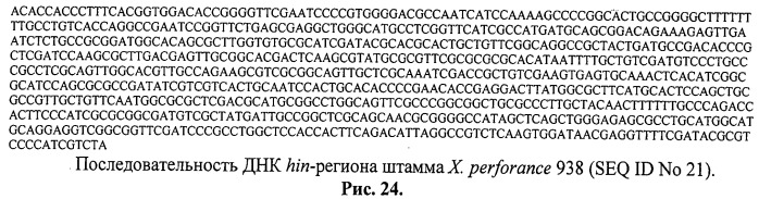 Способ идентификации и дифференциации прокариотических организмов (патент 2486251)